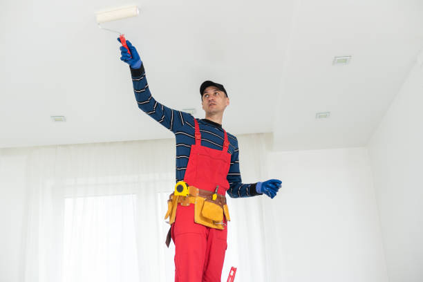 Trusted Fairview Shores, FL Painting & Drywall Services Experts